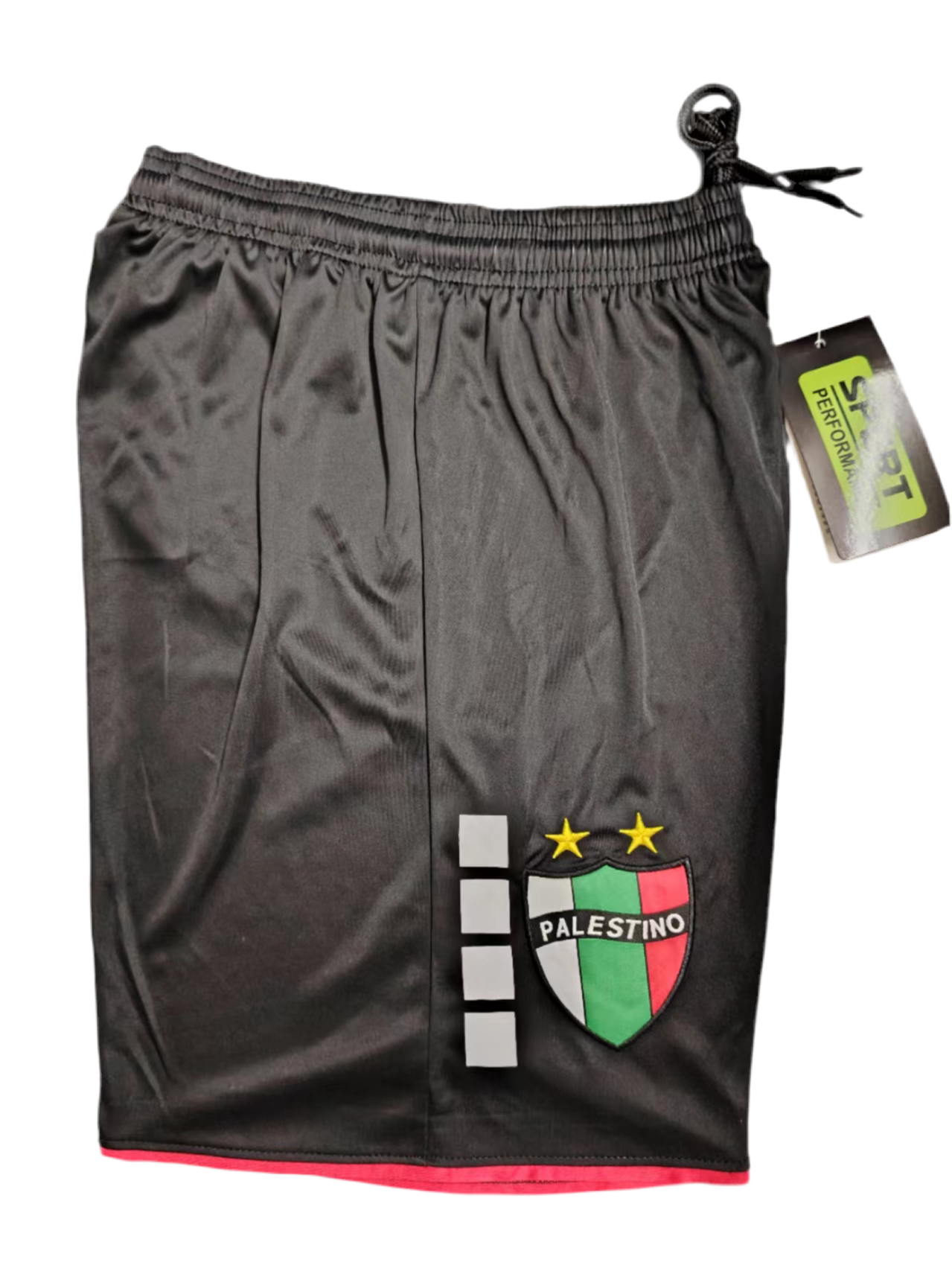 Short Palestino noir 2024 / 2025