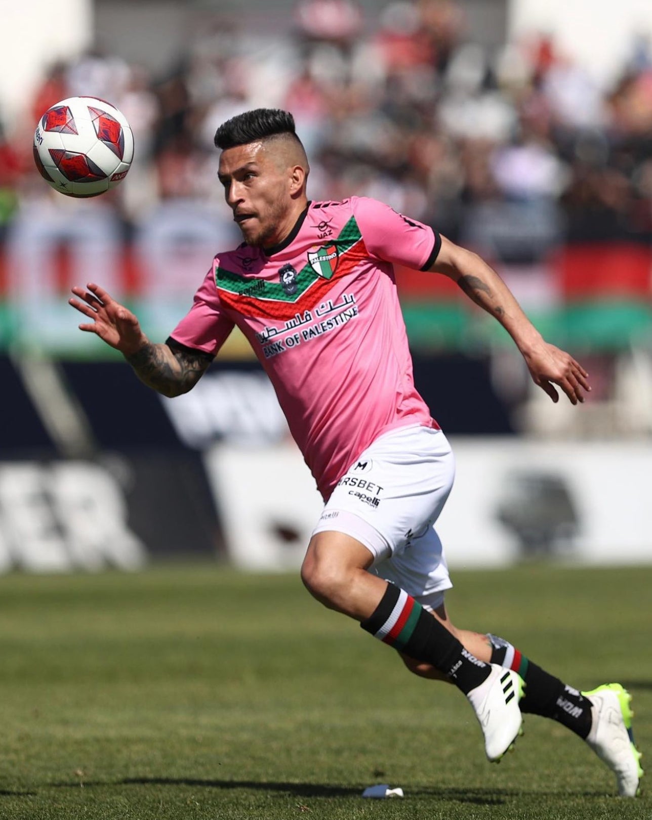 Maillot Officiel Rose Palestino Chili 2022/2023