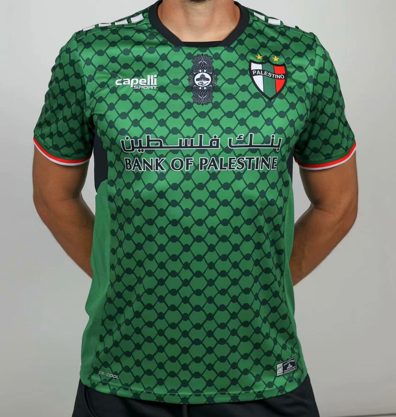 Camiseta Palestina Palestino Chile Futbol Oficial Verde 2024 2025