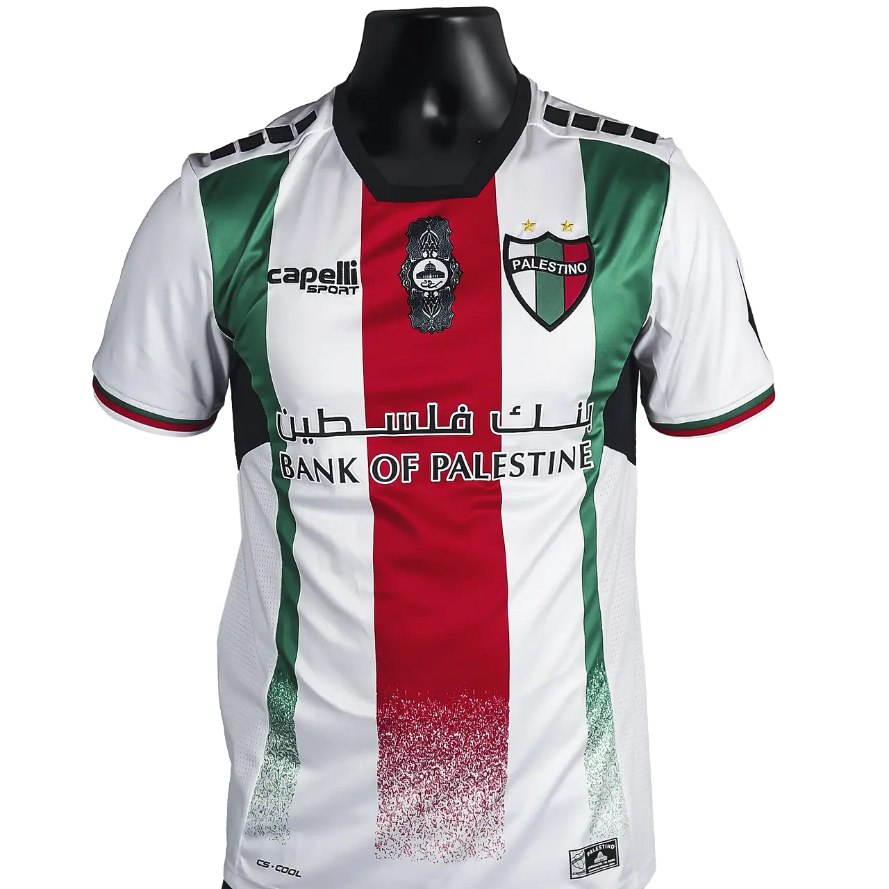 Maillot Officiel Palestino Chili Domicile 2024/2025