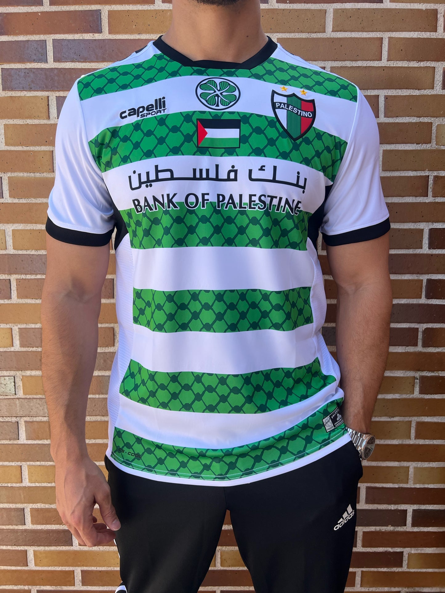 Camiseta Palestino CELTIC fútbol chile 2024 2025