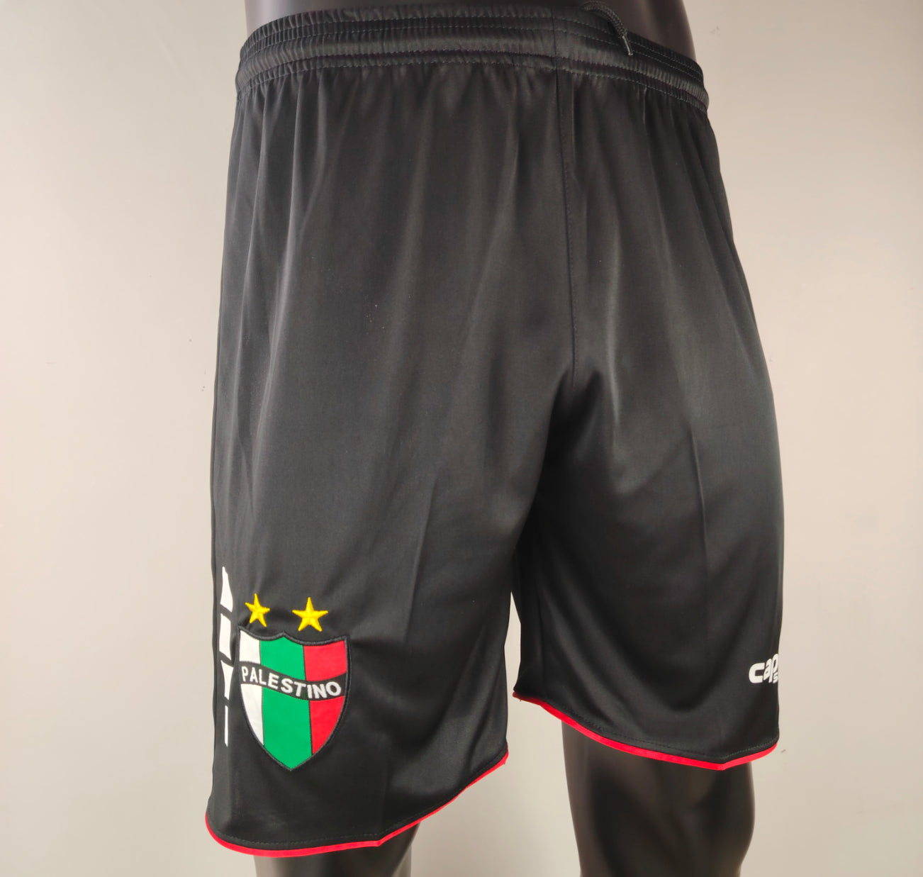 Short Palestino noir 2024 / 2025