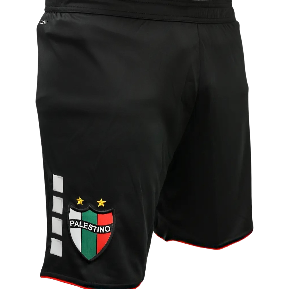Short Palestino noir 2024 / 2025