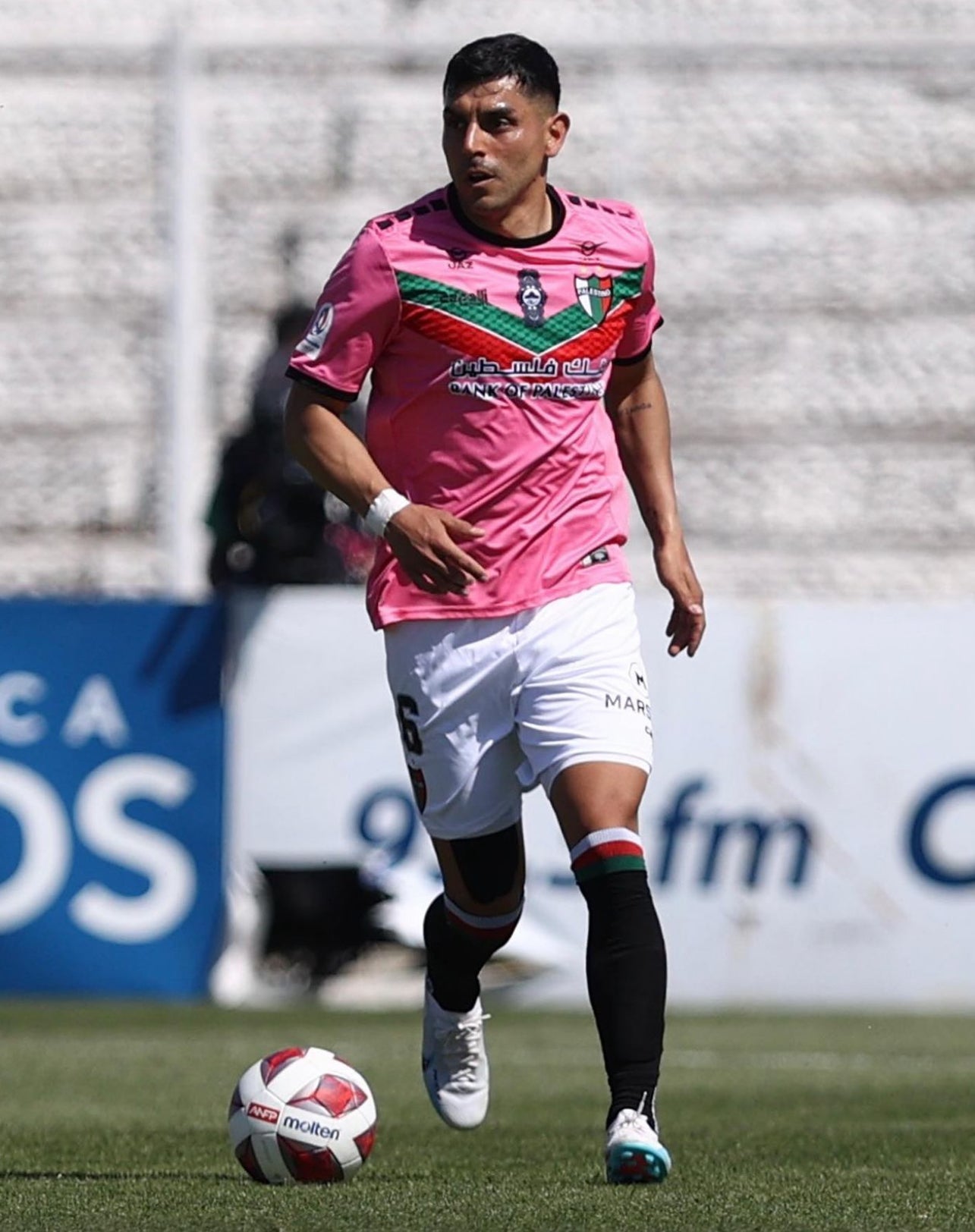 Camiseta Rosa Palestino Chile oficial 2022 / 2023