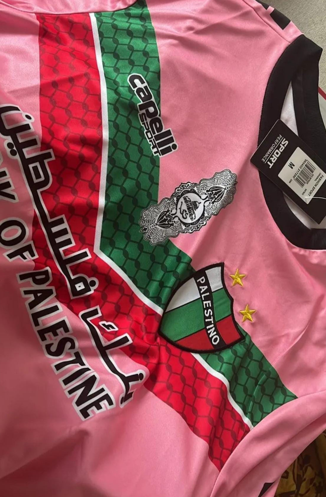 Camiseta Rosa Palestino Chile oficial 2022 / 2023